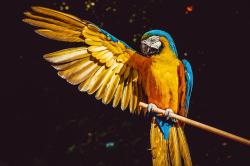 User Profile: sky2Ocean20
