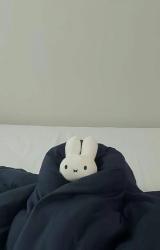 User Profile: bao7uu