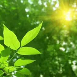 User Profile: considerateLeaf2008