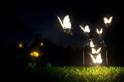 User Profile: comfortablePeace003