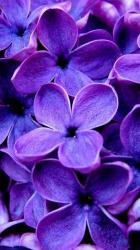 User Profile: CaringFaith61