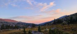 User Profile: wellnesswayfarer