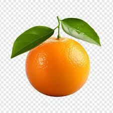 User Profile: TangerineIsAwesome