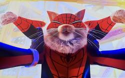 User Profile: milesmorales42