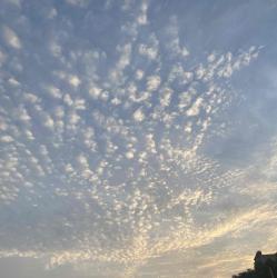 User Profile: Sharan86
