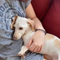 User Profile: emilyroseu0713