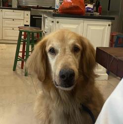 User Profile: hazelsderangedthoughta