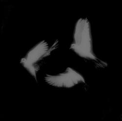 User Profile: lovelykitschuu1