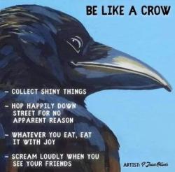 User Profile: InquisitiveCrow