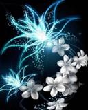 User Profile: nightFlower81