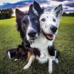 Profile: newbiebunny