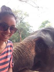 User Profile: saz1752