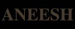Profile: Aneesh