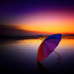 Profile: Seashells