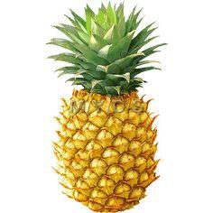 Profile: TheYellowPineapple