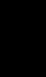 Profile: 1997Turtle