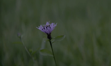 User Profile: Funfloor