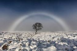 User Profile: whiteRainbow
