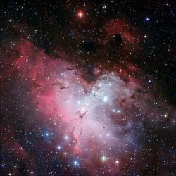 User Profile: SilentUniverse