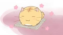 Profile: PurringCat