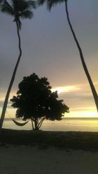 User Profile: Iara