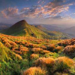 Profile: MountainHills