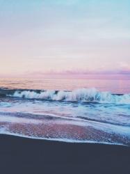User Profile: Sunshower14