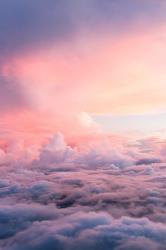 Profile: TranquilSpace