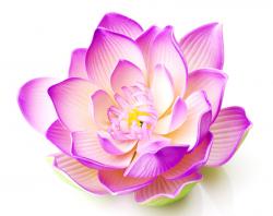 User Profile: Solace4U
