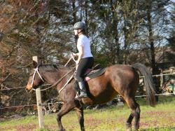 Profile: Ihavelived16