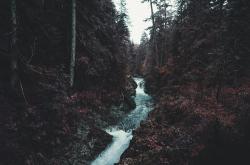 Profile: friendlyUnicorn16