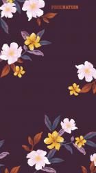 User Profile: Pheesun13
