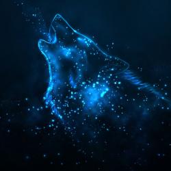 Profile: shadow8197