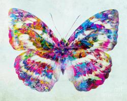 User Profile: colourfullbutterfly