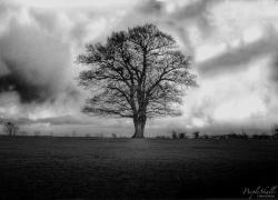 User Profile: SaturdaysChild