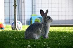 Profile: proudRabbit95