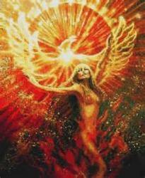 Profile: Phoenix9