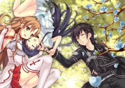 User Profile: AsunaYuki