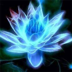 User Profile: healinglight79