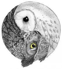 Profile: tobetheuniverse