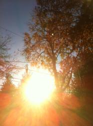 Profile: radiantSun65