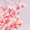 User Profile: holly29