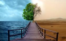 User Profile: loveconquersalltimehealsall