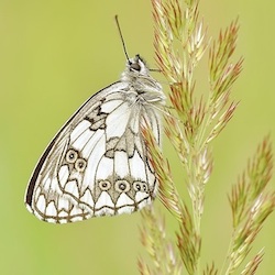 User Profile: Demigivesmehope