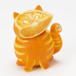 Profile: OrangeSlices