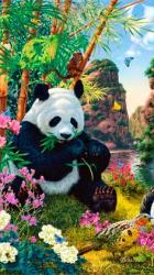 User Profile: ShiningPanda13