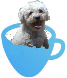User Profile: JaimieF