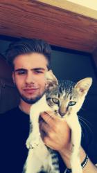 User Profile: WalkDreamer