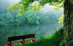 User Profile: AlovingFriend
