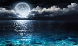 User Profile: NiaMostMysterious